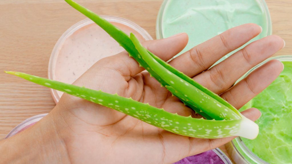 does aloe vera really help sunburn hn580 istock93983291 sized